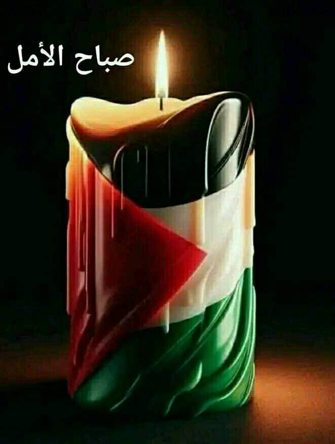 nasserkandil's tweet photo. 🛑#قيامة_غزة 🛑
نداء/ نداء / نداء

نداء الى كل شرفاء واحرار العرب والعالم لاضاءة الشموع أيام السبت  او الاحد او الاثنين مساء ( تزامنا مع بدء وقف اطلاق النار في غزة)  ايذانا بقيامة غزة وانتصارها على الموت والابادة وتضامنا مع أهلها أصحاب هذه الملحمة البطولية.

يشمل هذا النشاط والتضامن تصوير فيديو قصير مع او بدون رسالة تضامن مع الاهل في غزة، ليقوم المشاركين والمتضامنون بنشر الفيديوهات المتعلقة بهذا النشاط سواء كانت صورت من قبلهم أو من قبل غيرهم لتصل لأكبر عدد من المشاهدات .

 كلنا امل من كل التجمعات والفعاليات والنقابات والأصدقاء والناشطين ترجمة ونشر هذه الدعوة بكل اللغات وفي كل المنصات وتكرارها حتى ذلك التاريخ كي تضاء ملايين الشموع في الاماكن المشهورة او على الشرفات وفي الشوارع وسطوح المنازل وفي اماكن العمل في كل انحاء العالم تحية لهذا الشعب البطل الأسطوري الذي كتب ملحمة القرن الواحد والعشرين في معنى الانسانية والدفاع عن الحق ومقاومة الاحتلال والعنصرية  والابادة وكل اشكال الاستعمار والتوحش والاجرام بحق الشعوب.