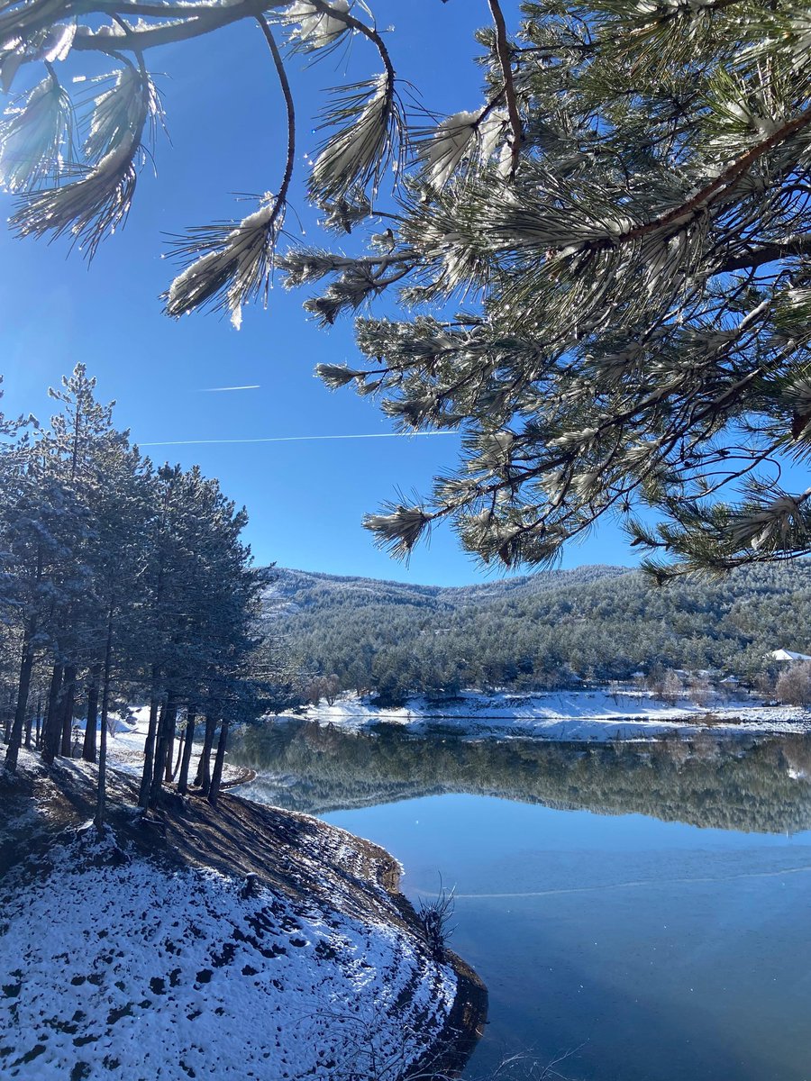 'bu kızı yeniden büyütmeliyim'