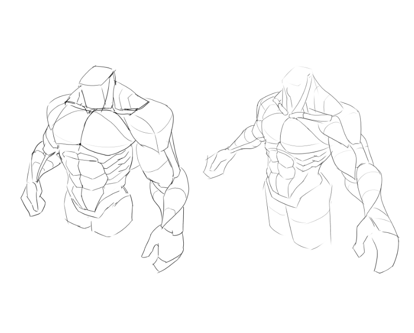 venkaris's tweet photo. Muscle studies https://t.co/PwSAfkYmd7