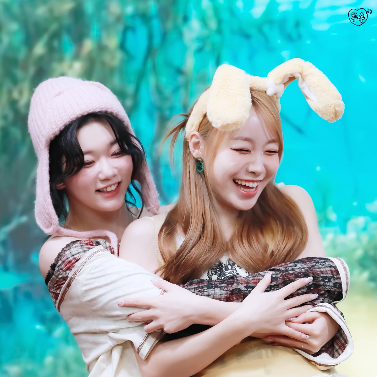 뚜수 tweet media