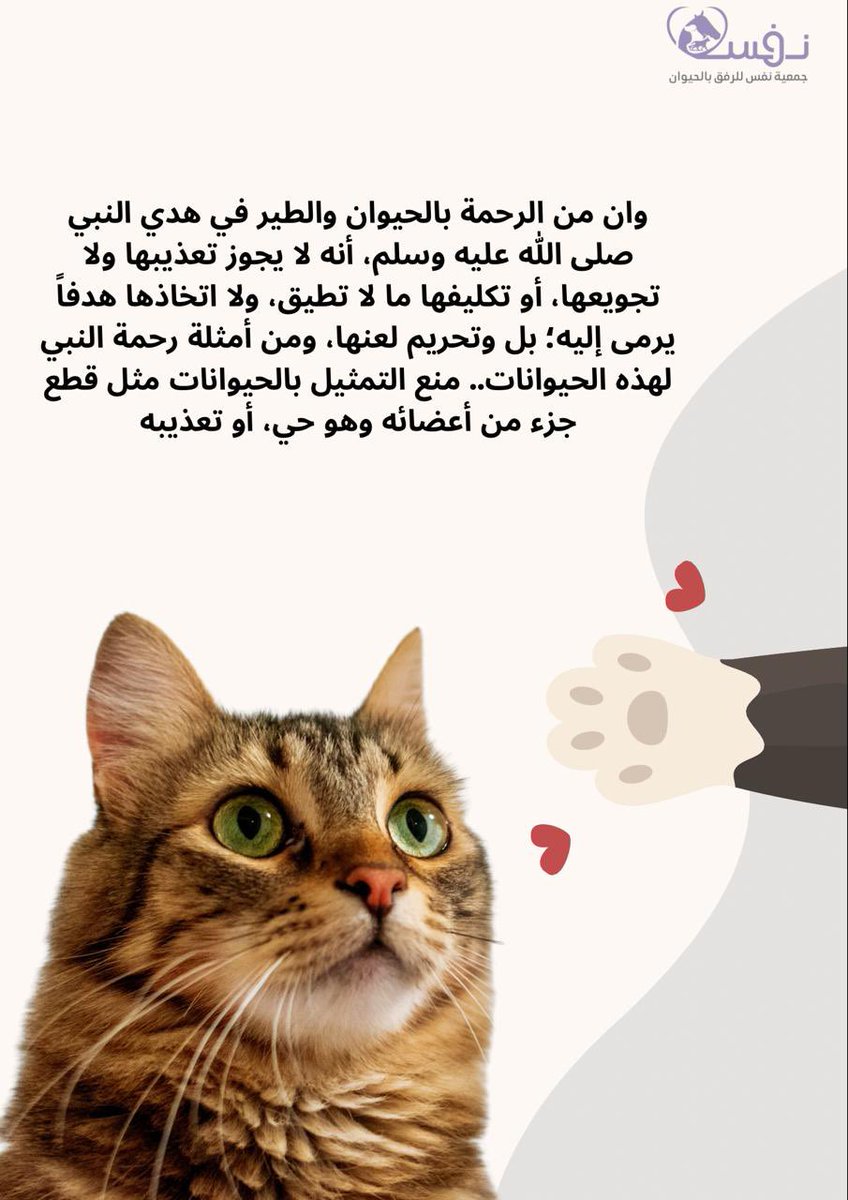 #جمعية_نفس_للرفق_بالحيوان 
#يوم_الجمعة