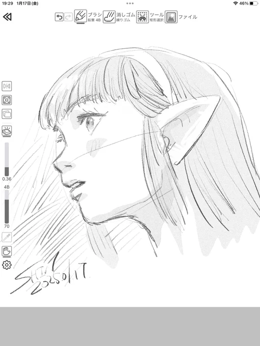 1bitpencilサクサク描ける
多分iCloudの設定がおかしかったのかなぁ
あとはiPadの設定やらインストールのタイミングが関係してそう
なんせ初代iPad Proで使い倒して子供達のアプリもたんまり入ってる
他のアプリもよく落ちるのですわ😅

1bitpencilは良いアプリですよ✨ 