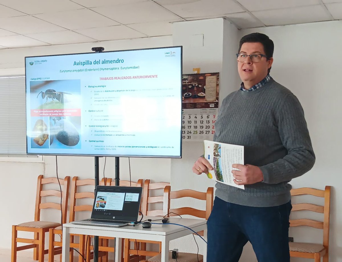 Espacio de trabajo y transferencia de conocimientos con presencia del GO Proalmur II, donde se pudo exponer los avances del grupo y la propuesta de innovación para luchar contra la avispilla del almendro, una plaga que genera gran preocupación en el sector de los frutos secos 🪲