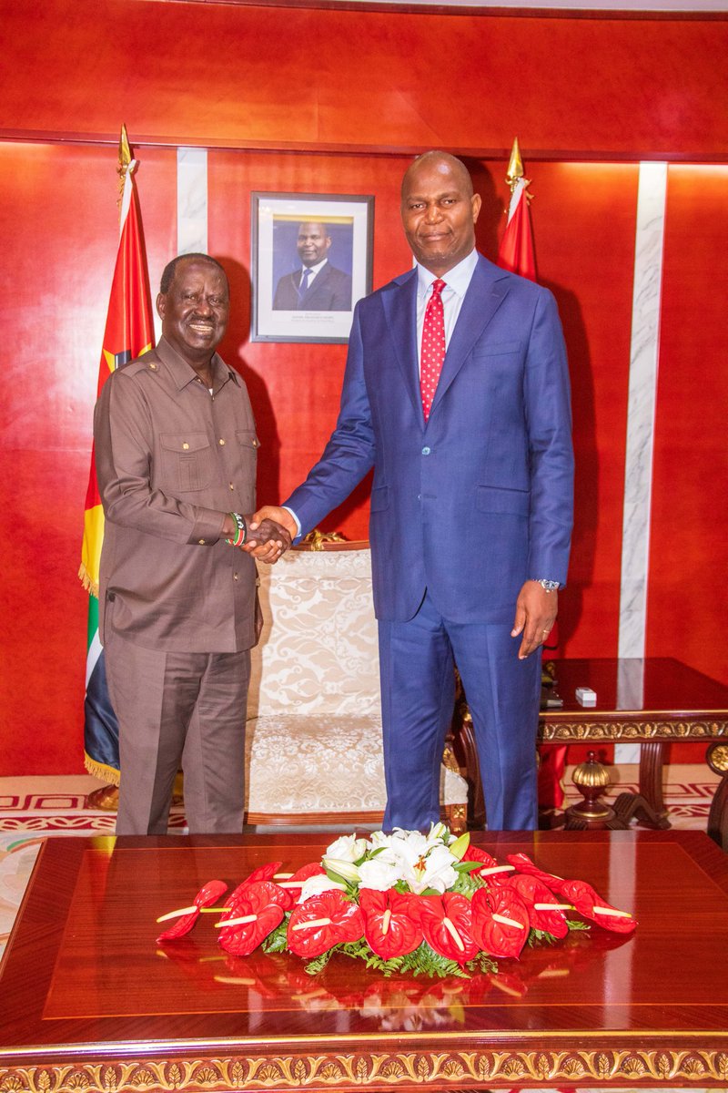 RailaodingaAuc's tweet photo. We have landed to warm hospitality today in Maputo, Mozambique hosted by the newly elected President H.E Daniel Francisco Chapo. 

Thank you Mr President for the opportunity to share with you my vision for Africa and my quest to be the AUC Chairperson. Obrigado! https://t.co/rEIftPfnZC