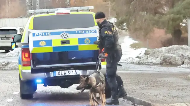 MXCartoons's tweet photo. Jag stör mig fortfarande lite på de där "nya" regplåtarna med bokstäver även på sifferhalvan. Det tyder på att systemet för svenska registreringsplåtar var dåligt planerat från början. Varför hade de t.ex. inte enbart bokstäver från första början?

#dagensilandsproblem https://t.co/jvyGfiR5j5
