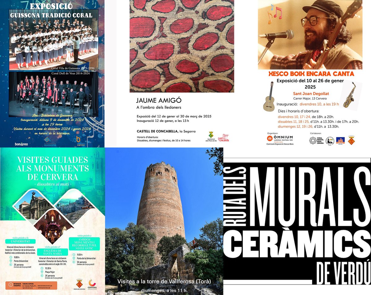 Som Segarra tweet media