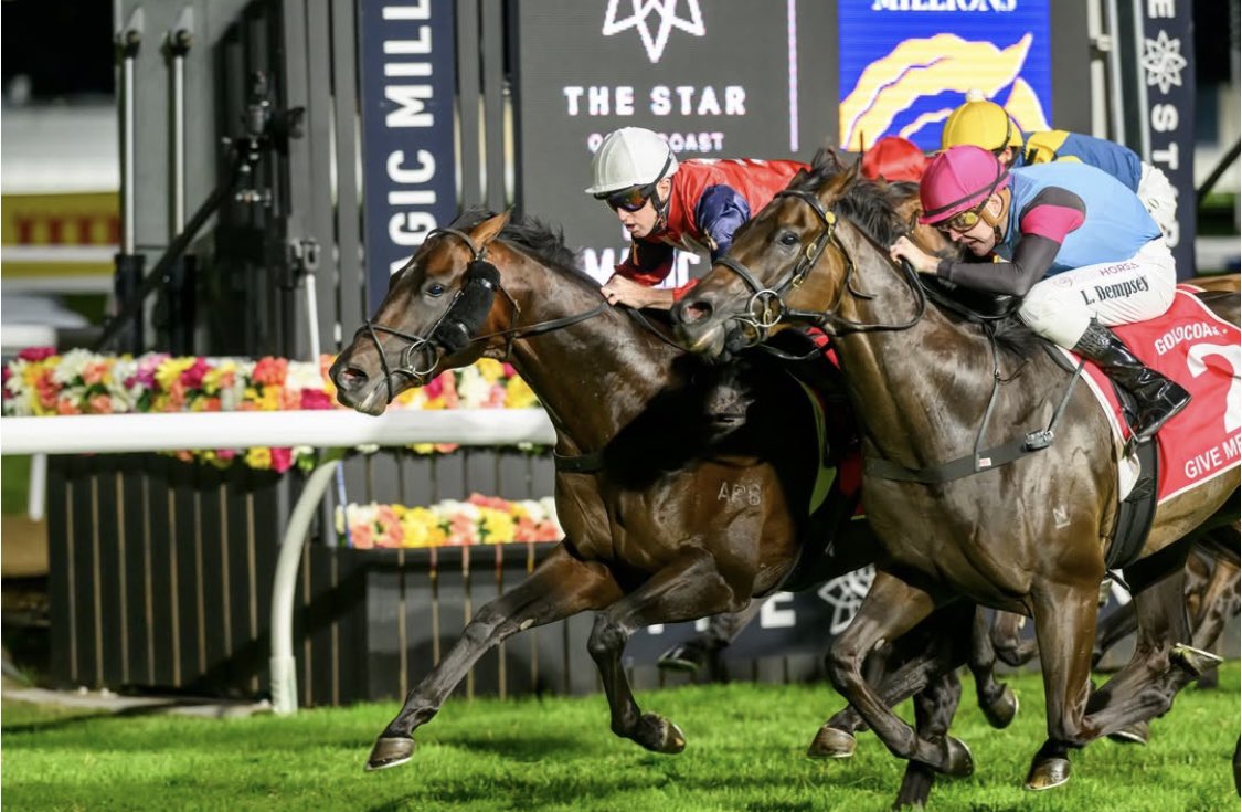 archibaldracing's tweet photo. What a night on the Gold Coast 🔥

West Of Africa absolutely flew home to take out the $2M Magic Millions Cup & Bosustow held on to claim the $3M Magic Millions 3YO Guineas!

Big effort from the whole team and terrific rides from @G1TySchil & @JoshuaParr8 👏🏼

A big congratulations to @OTIRacing, @RosemontStud, @amelia_racing & all of our connections! 🙌🏼