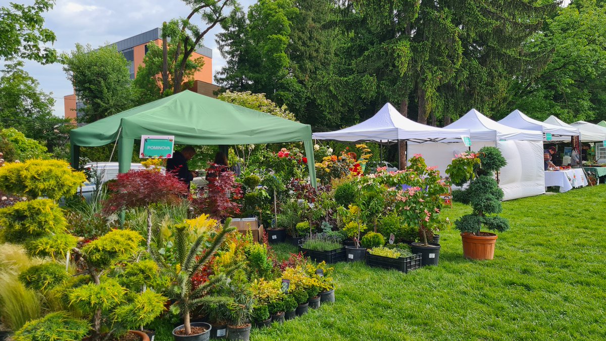 USAMV CLUJ-NAPOCA tweet media