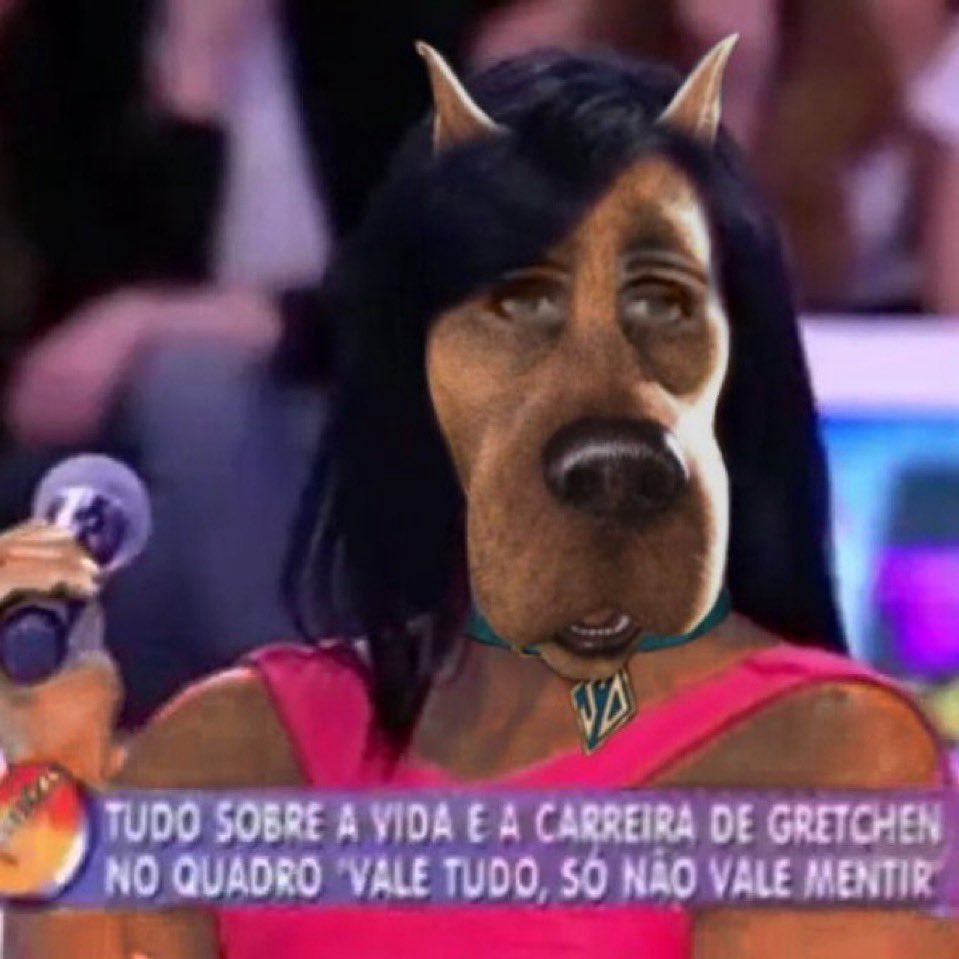 Savio016's tweet photo. Meu cachorro me humilha quando foge bixo pqp, fui parar quase em outra cidade correndo atrás do malditoooo. https://t.co/2btKLNiMji