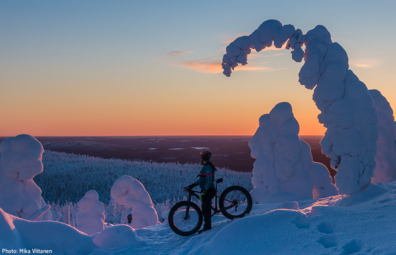 thisisFINLAND tweet media