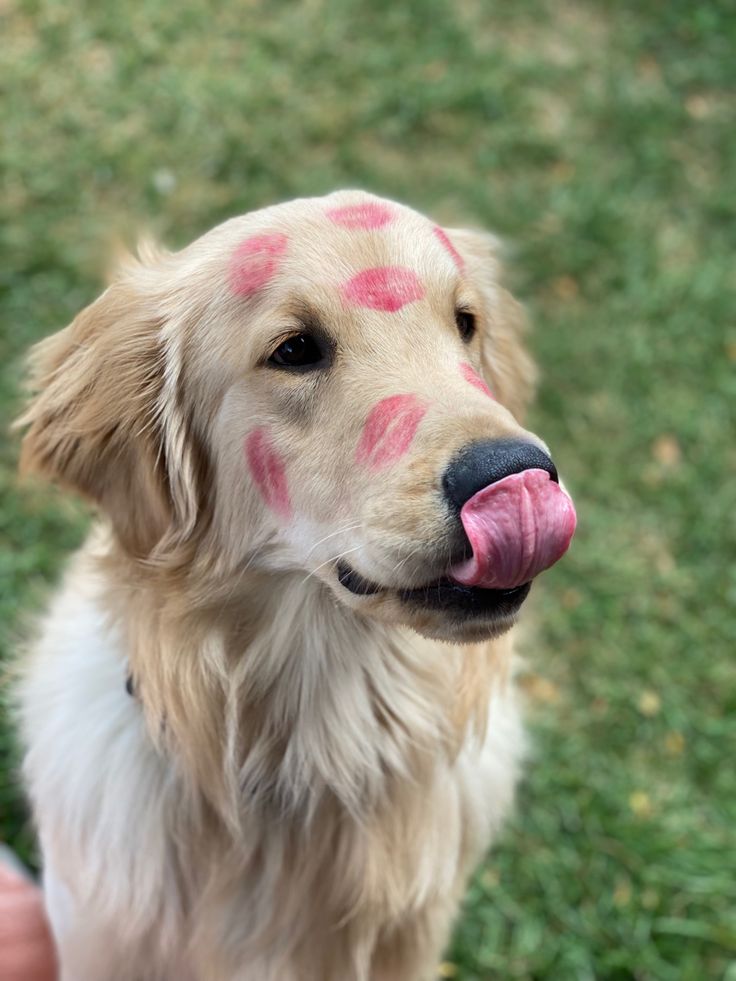 vivaneil (@vivaneil1234) on Twitter photo 