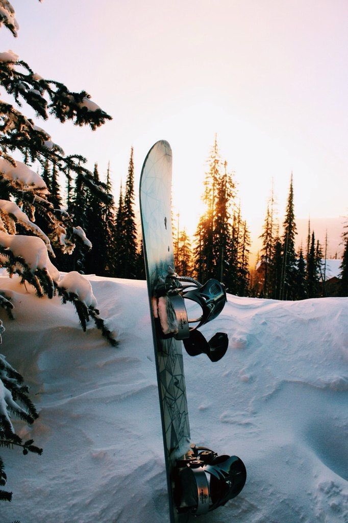 coletbear's tweet photo. “keeping warm ❄️”

a short #colaiah au where norah (🐺) cannot stand the cold but somehow finds herself on a skiing trip and meets a very pretty snowboarder (🐶) 

…the only problem? they’re stuck on a ski lift 🥶 https://t.co/wo5CLVSOJs