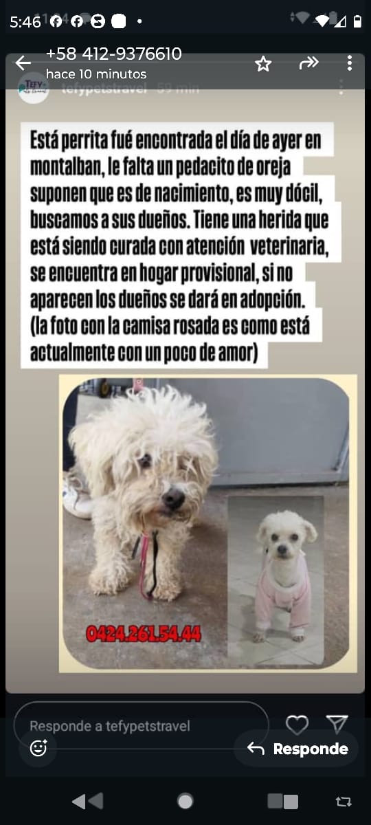 Información de 3ros➡️➡️➡️Por favor ayúdame a difundir 🙏🙏
Por favor darle máxima Difusión 🙏🙏