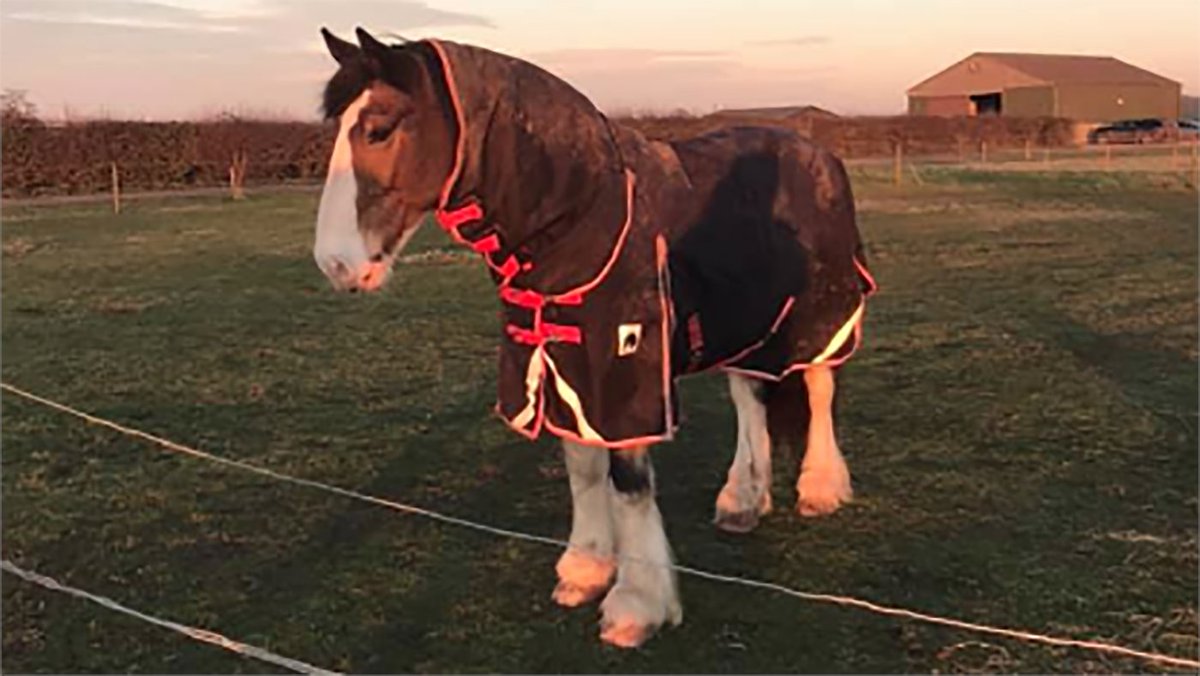 Hovis’ Friday diary: ‘If 2025 sucked any harder, Dyson would be suing it for plagiarism’ trib.al/NugMtio