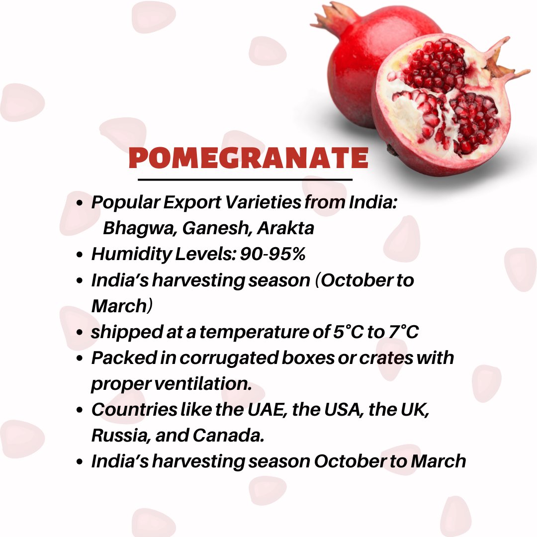 aaaensa333's tweet photo. Did You Know? 🌍
🇮🇳 India is the largest producer of pomegranates globally!🚢
🌐:https://t.co/MFHBIWyAqO
📧:info@aaaensaglobal.com
📞 :+91 9518771563
.
.
.
#PomegranateFacts  #IndianExports 🇮🇳 #FreshFruits 🌍 #HealthyEating 🥗 #GlobalTrade 🚢 #BhagwaPomegranate  #SuperfruitPower https://t.co/5BOrnpp5Cs