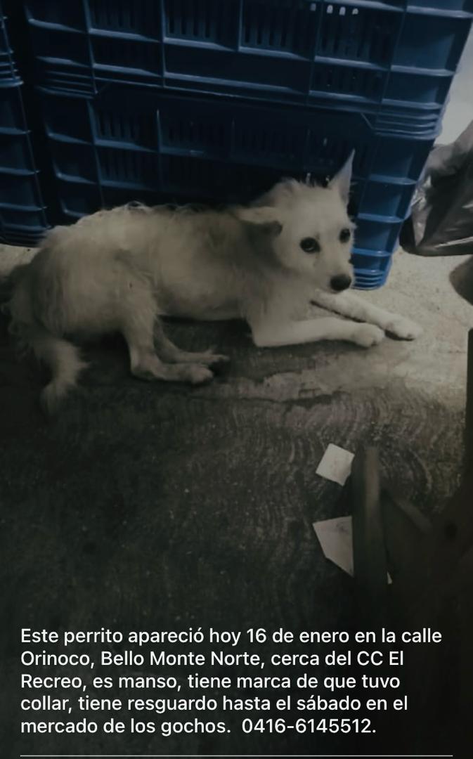 Buenos días, difundiendo caso de 3eros.... Por favor darle máxima Difusión 🙏🙏🙏🙏 en Caracas