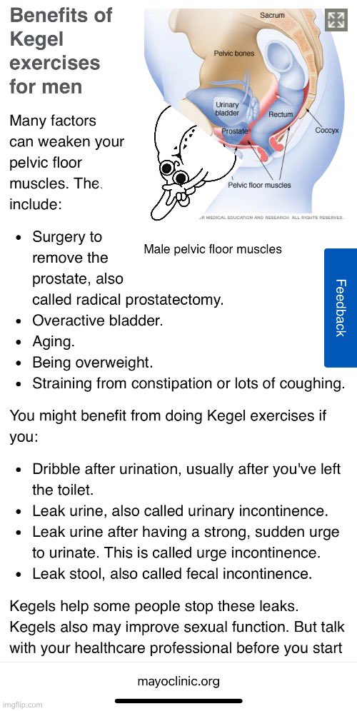 buttholeonbase's tweet photo. @BumshaftCTO Scientifically proven to be good for you brother! https://t.co/XuSIXWRqmA