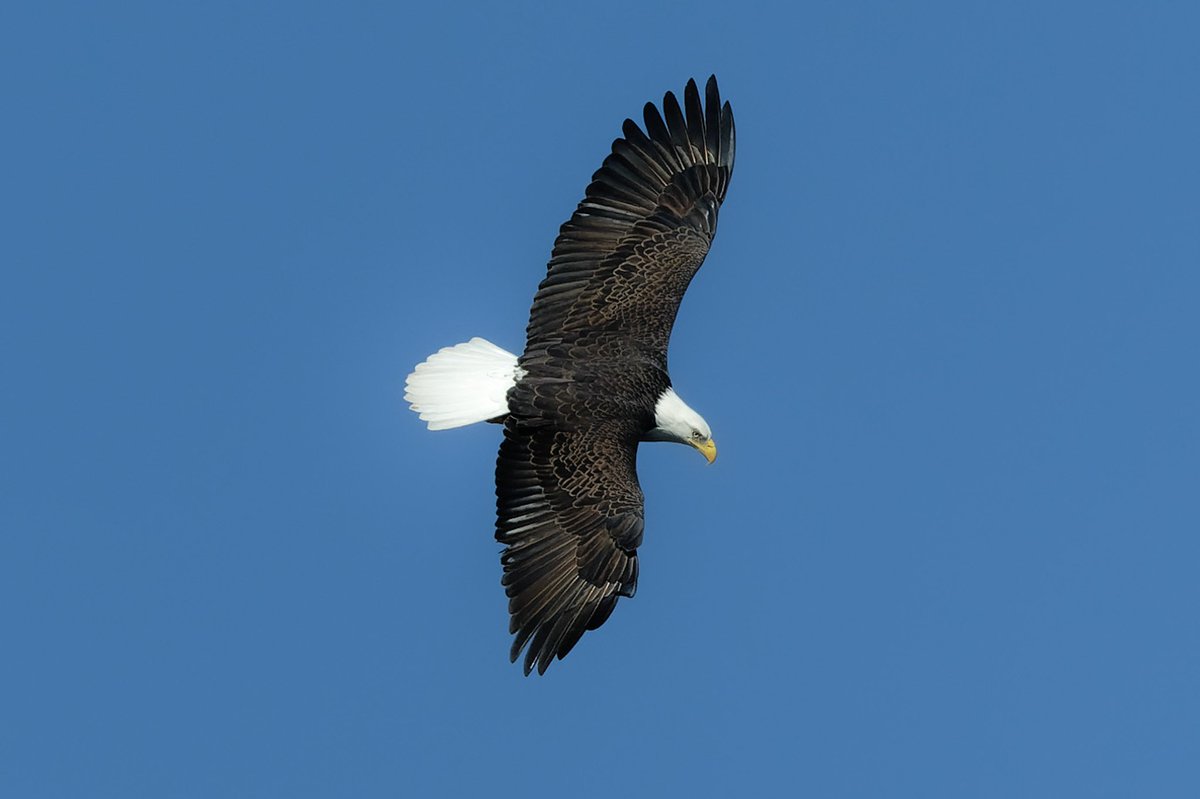 Patrick bx tweet media