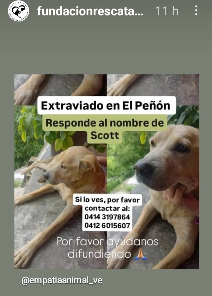 Información de Otro Grupo 👇👇👇 En Caracas por favor darle máxima Difusión 🙏🙏🙏