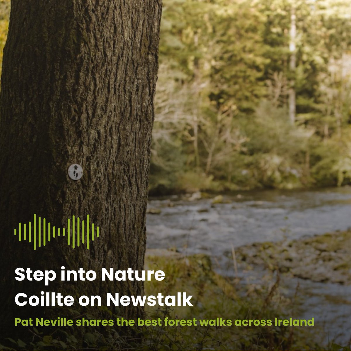 Step away from screen time and embrace green time! 📱➡️🌳 

Coillte's Pat Neville shared top forest walks on The Pat Kenny Show. From Donadea to Glanteenassig, explore Ireland’s stunning trails! Check conditions @ Coillte.ie 

open.spotify.com/episode/15Atao…