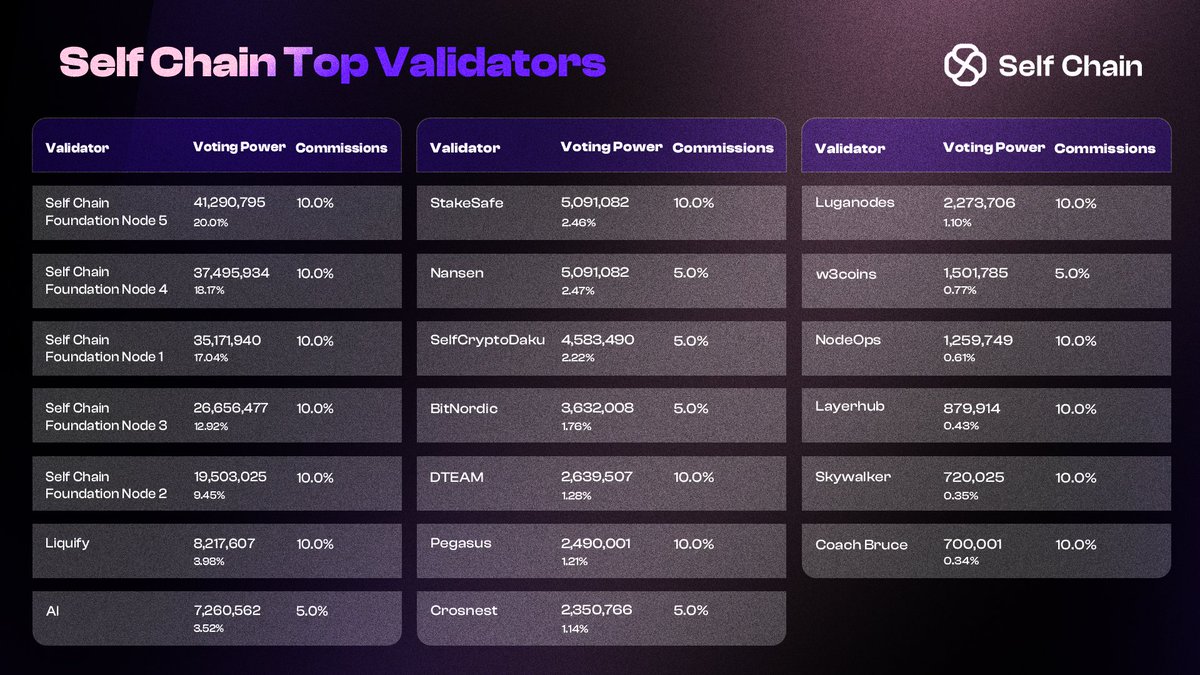 A look at the top 20 validators playing a significant role in securing the Self Chain network.

These validators are the backbone of Self Chain, maintaining consensus and ensuring decentralization.

Ready to contribute to future of Self Chain? Select your validator and stake