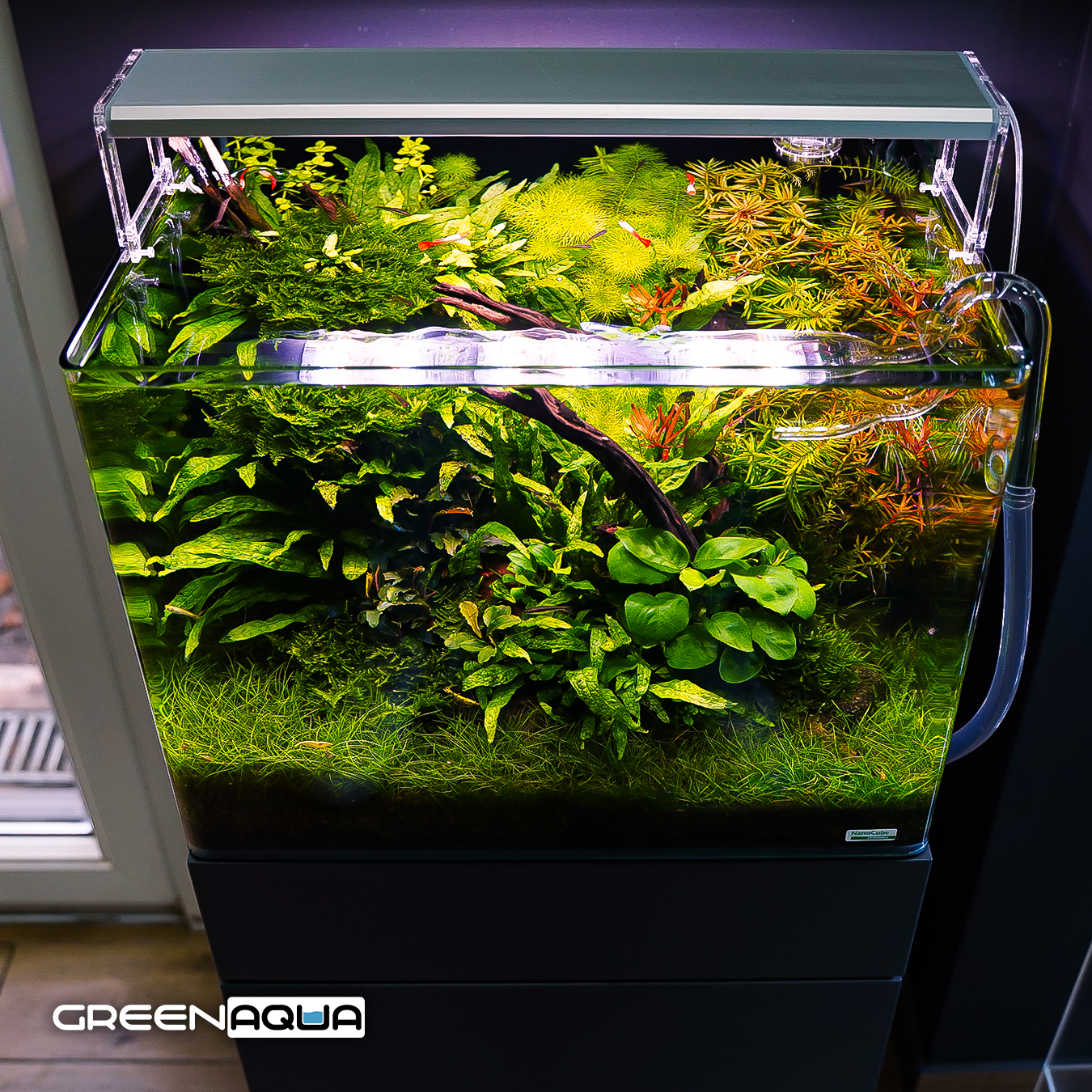 Dennerle Aquarium 55 Liter DENNERLE NANO TANK PLANT PRO 55L