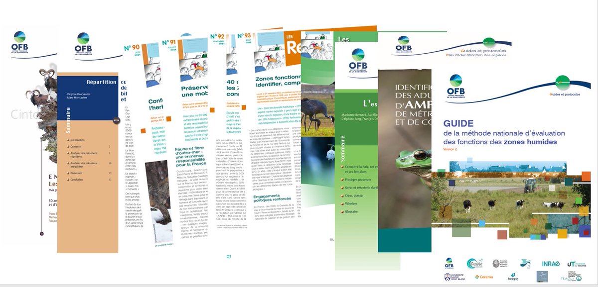 DocumentationBiodiv tweet media