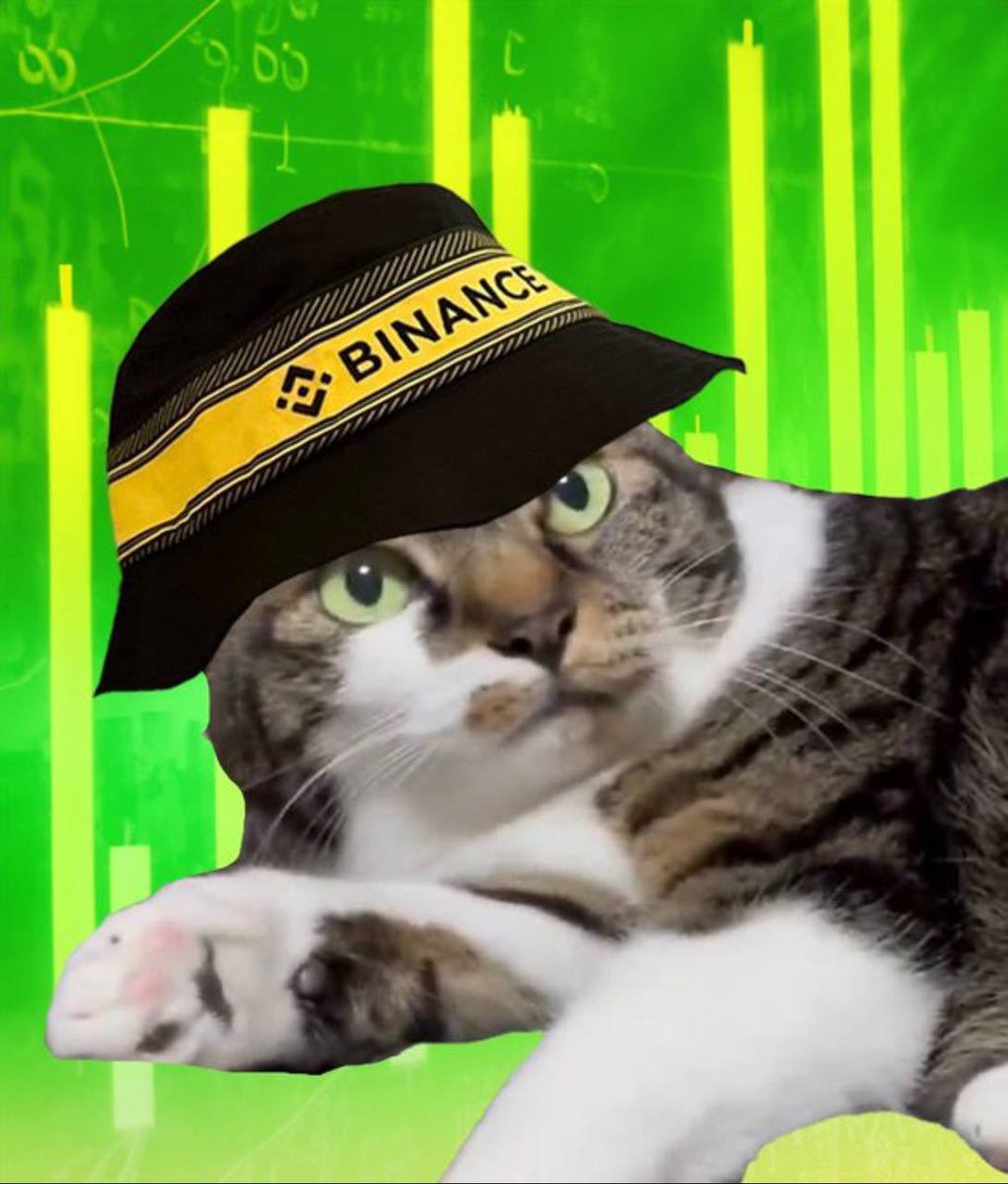 bazedchief's tweet photo. @catwifhatsolana Chuchu is the name of CWH brotha

Ca: 8Kvzjjym1fzAbzwdeEeB2Qgfjz4Wg2YFaEZgsbtPpump https://t.co/Ztv9TIgy0R