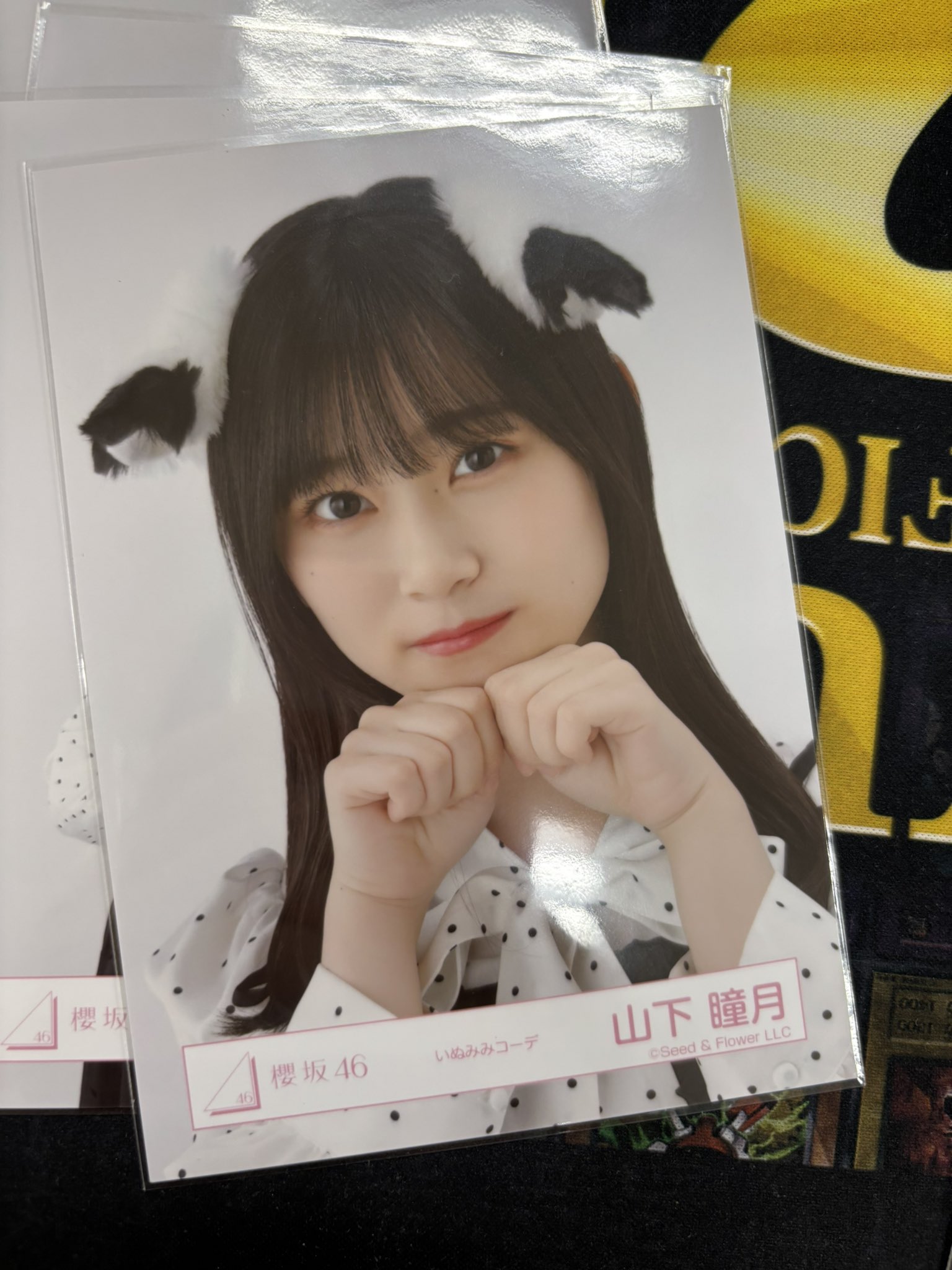 櫻坂46 山下瞳月生写真振袖年末衣装いぬみみコーデ12種コンプ