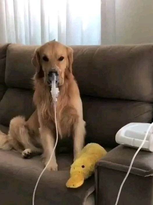 I'm sick 😔😔 I need your love and prayers 💔🙏