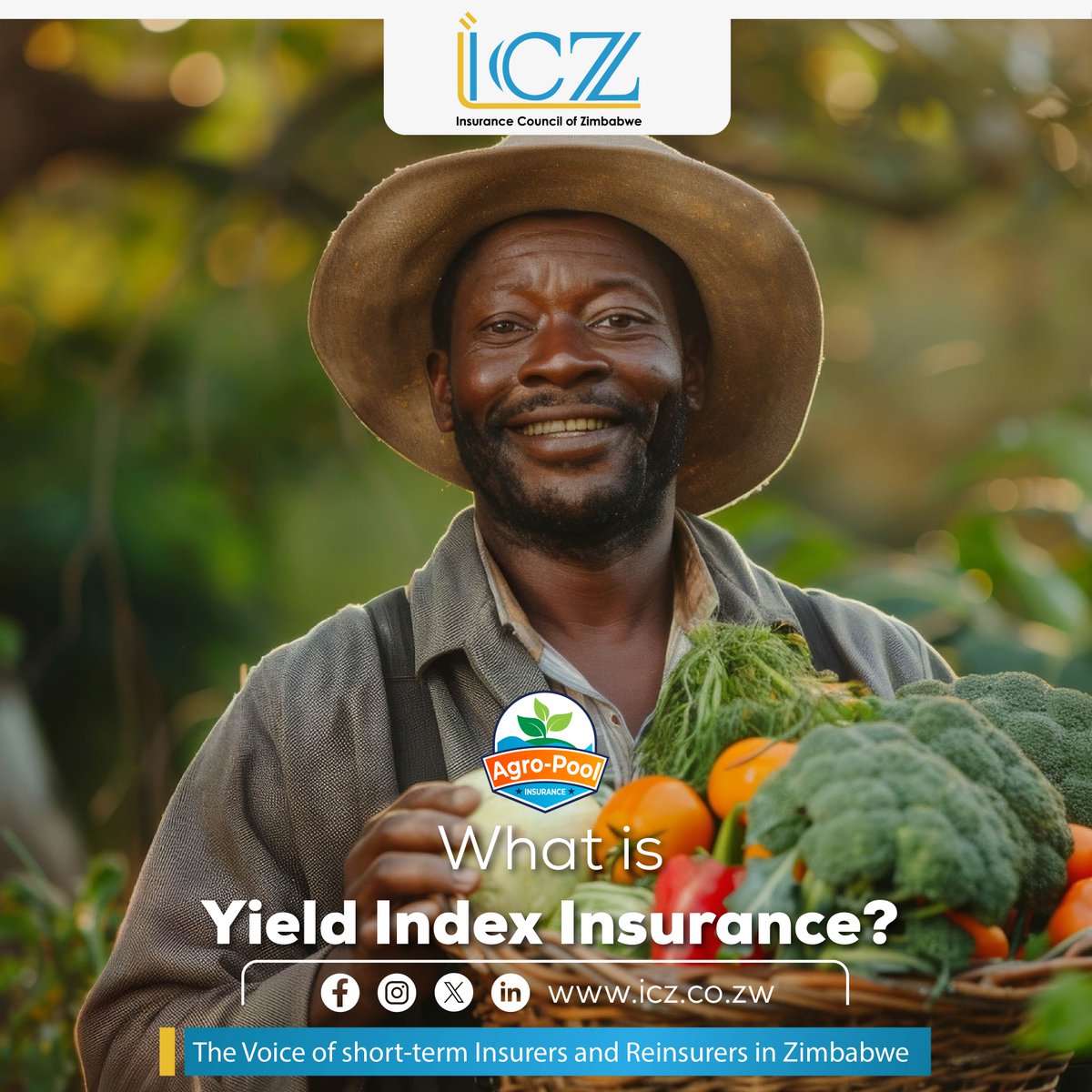 Yield Index Insurance (YII) ensures compensation when the average yield in your area falls below a set trigger.
✅ Based on crop-cutting experiments.
✅ Helps during critical growth phases like germination, vegetative, and flowering.
#YieldIndexInsurance #FarmSmart #ICZ