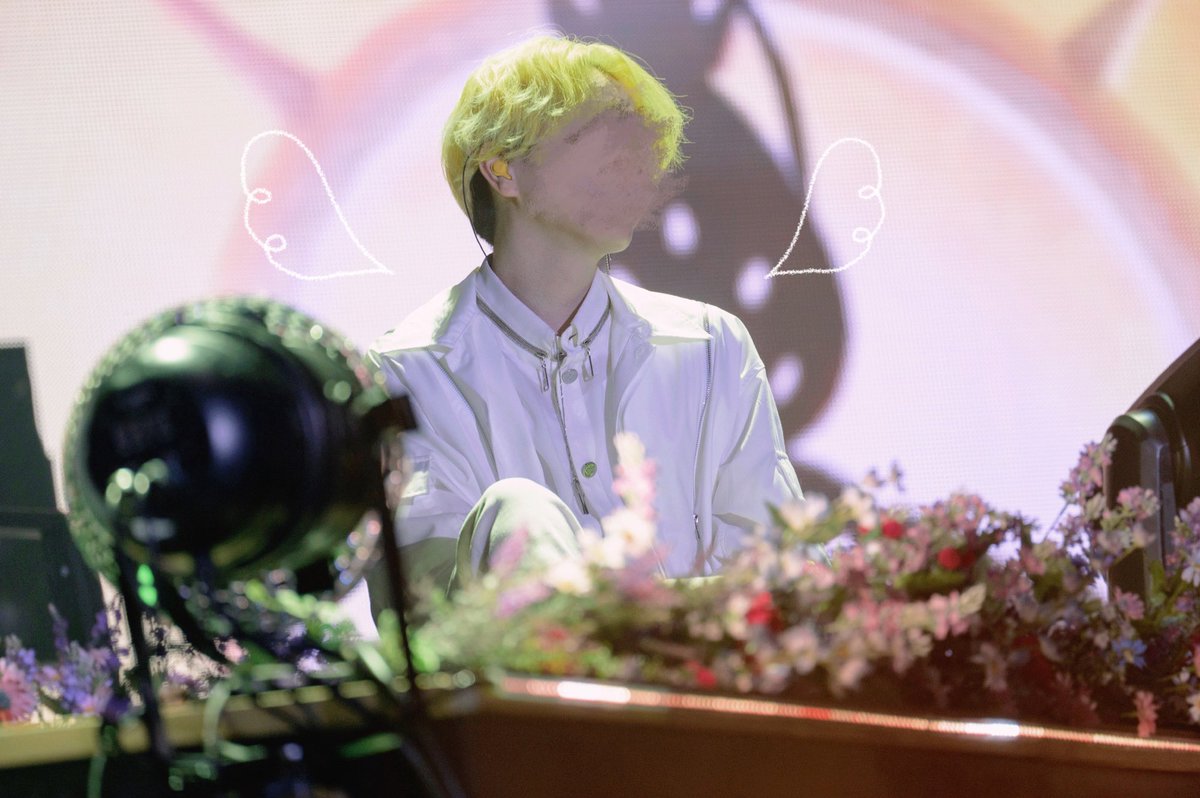 お花畑で迷子になりました🌼