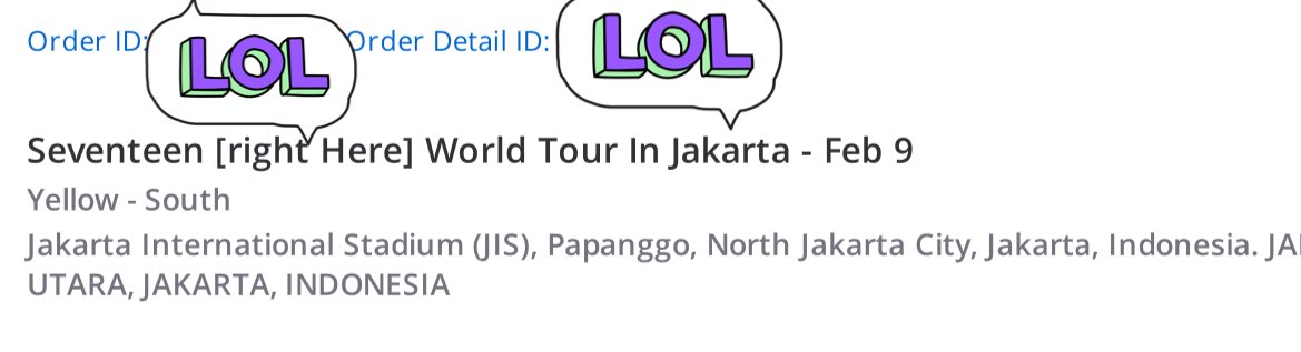 cheolienoona's tweet photo. This is my 1st seventeen concert since i became carat from attaca album. See you guys on feb 9 https://t.co/xqOGw4h6sH