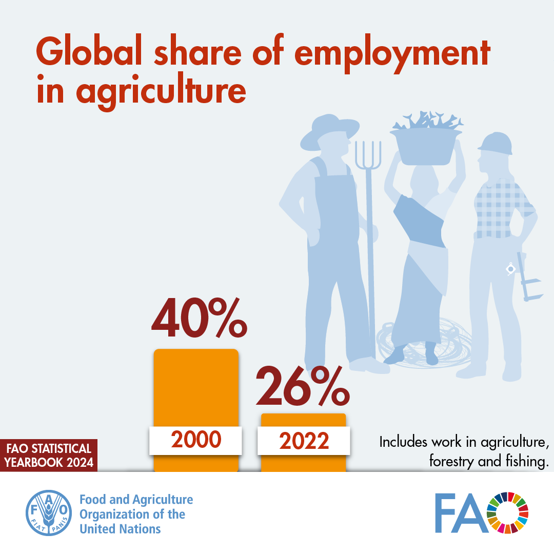FAOstatistics's tweet photo. There is a wealth of data &amp; statistics in our annual publication, including the 🌍 share of employment in agriculture.

@FAO Statistical Yearbook - World Food and Agriculture 2024

Download YOUR copy today 👇

📕https://t.co/nW1v0ZcBK7 https://t.co/w1lMtuzj1U