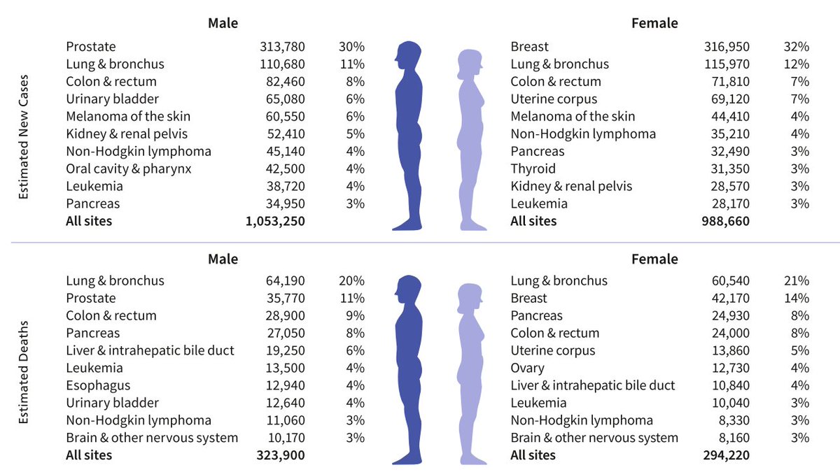 Stephen V Liu, MD (@stephenvliu) on Twitter photo The 2025 <a href="/AmericanCancer/">American Cancer Society</a> Cancer Statistics report now available <a href="/CACancerJournal/">CA: A Cancer Journal for Clinicians</a>. Lung cancer remains the leading cause of cancer related death for men and women, by far. Among patients < 65y with lung cancer, there are now more women diagnosed each year than men. The 2025 <a href="/AmericanCancer/">American Cancer Society</a> Cancer Statistics report now available <a href="/CACancerJournal/">CA: A Cancer Journal for Clinicians</a>. Lung cancer remains the leading cause of cancer related death for men and women, by far. Among patients < 65y with lung cancer, there are now more women diagnosed each year than men.
