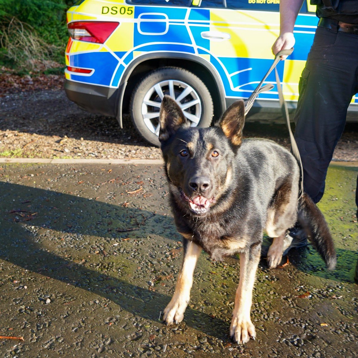A huge congratulations to duo, PC Bolton and PD Ben, on passing their General Purpose licensing 👏