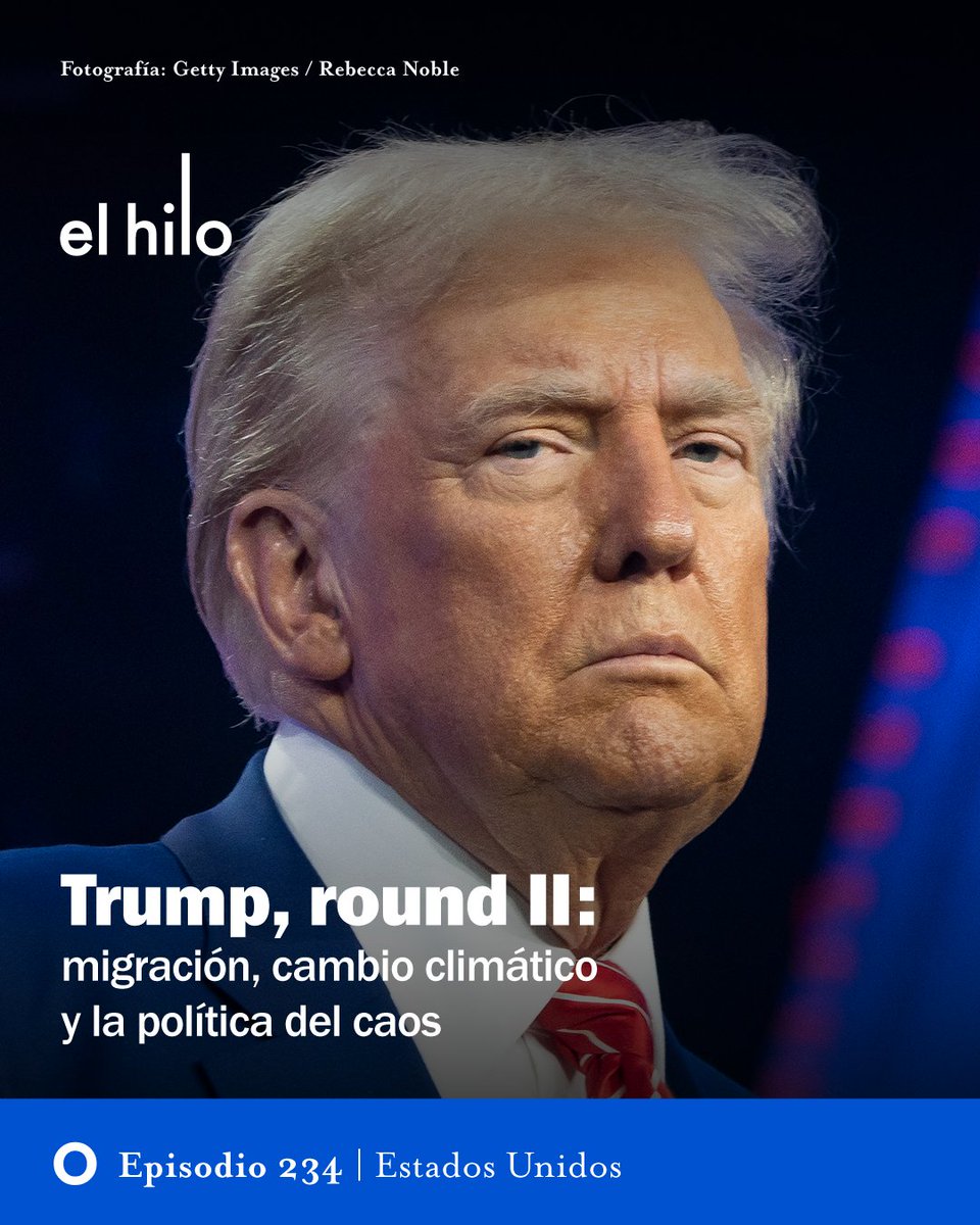 El hilo tweet media