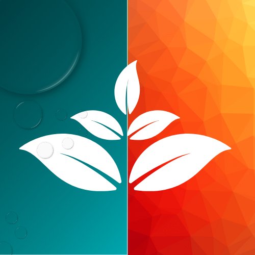 LogixCraft1's tweet photo. Creativity meets precision at LogixCraft! From logos to infographics, we bring your brand to life with unique designs. Let's make your vision stand out!
#GraphicDesign #CreativeDesign #LogixCraft #VisualStorytelling #DesignInnovation https://t.co/315VPptkGZ