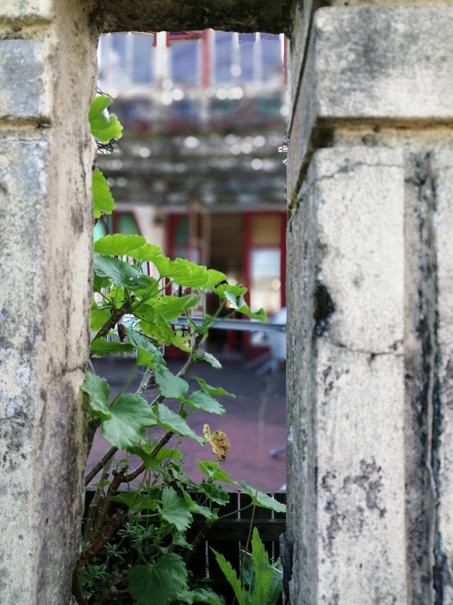 Belcos y Mikel Erentxun
<a href="/MikelErentxun/">Mikel Erentxun</a>
<a href="/jbelcos/">José Mari Belcos</a>
💜💜💜💜💜💜💜💜💜
...se ha abierto una grieta y veo lo que sueñas cuando estás despierta

youtu.be/uIM4wZXlZqU?si…