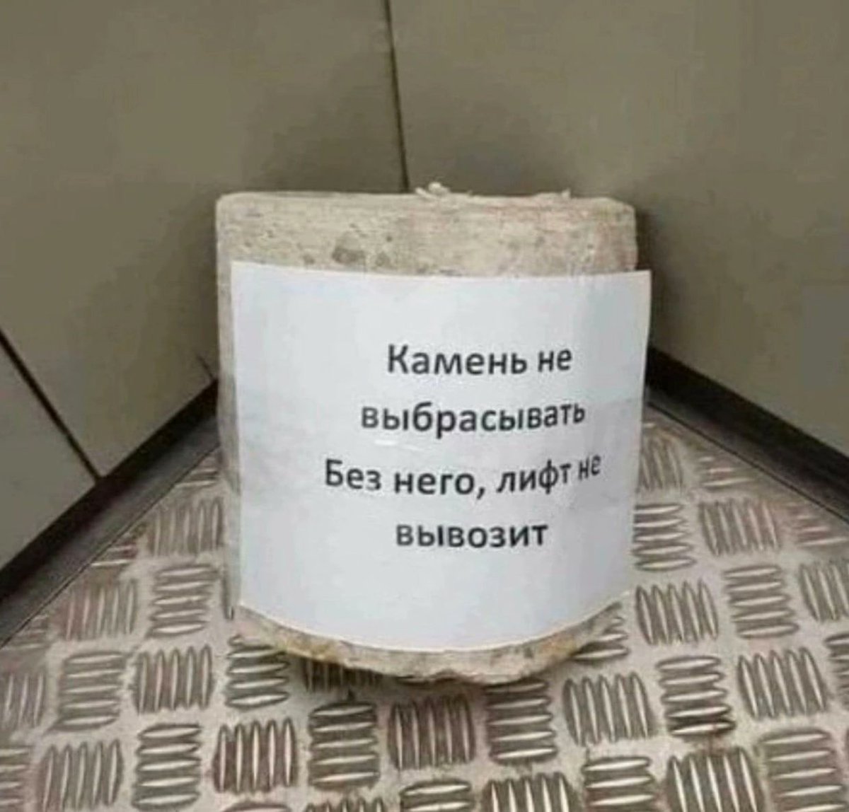 кабанчик метапанк tweet media