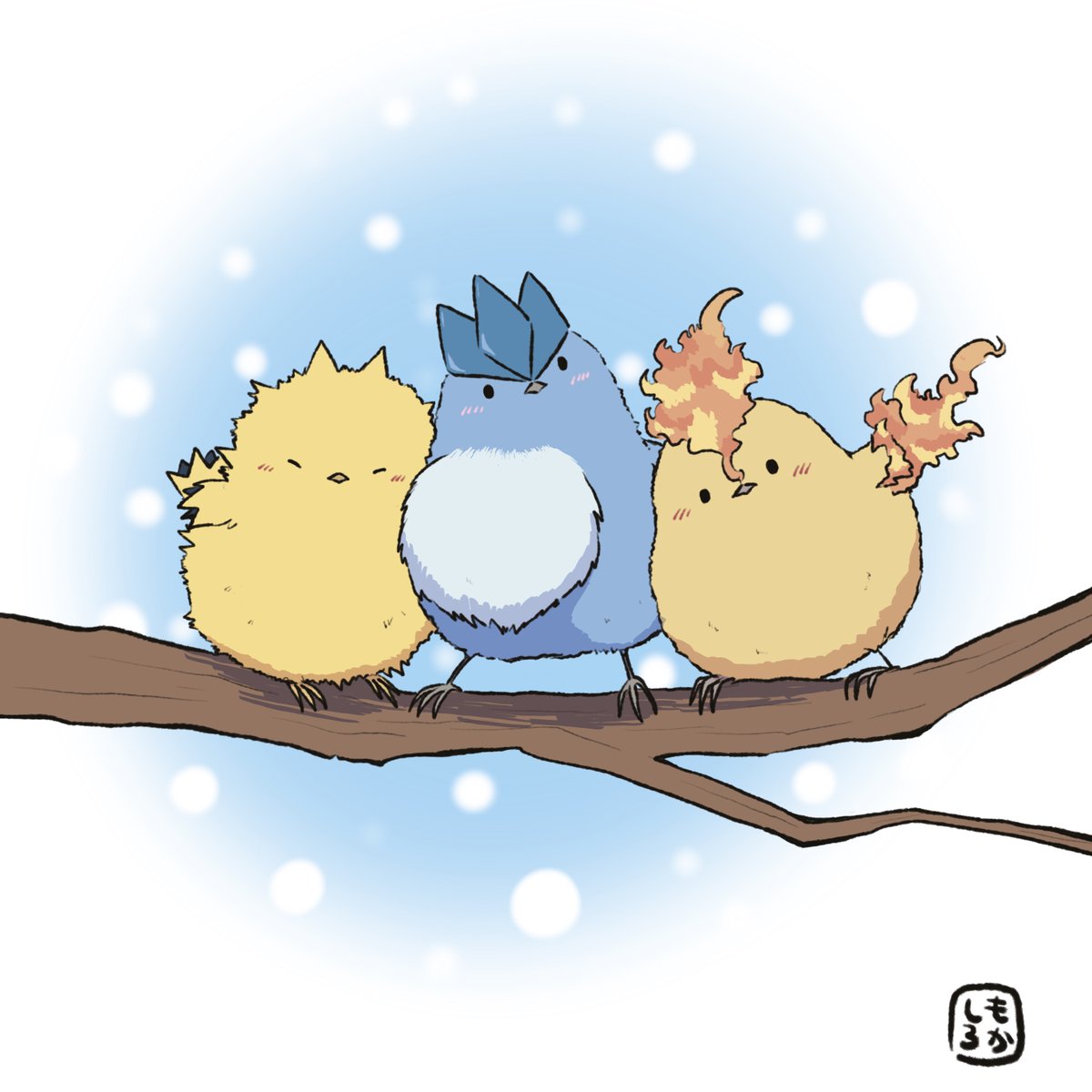 もかしろ tweet media