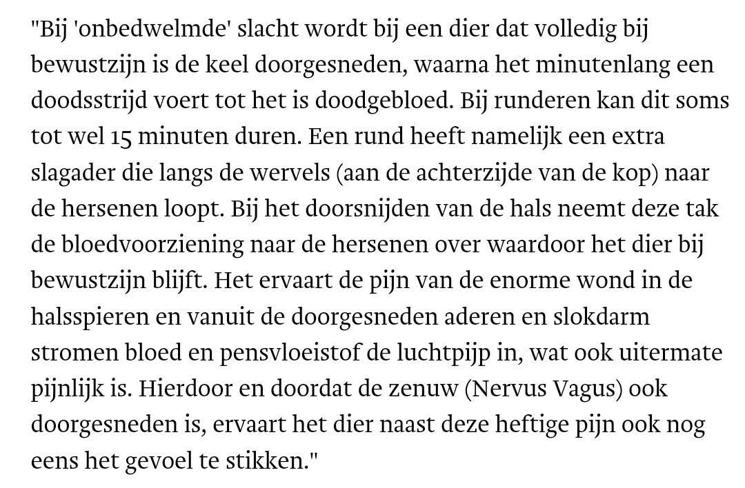 harrie tweet media