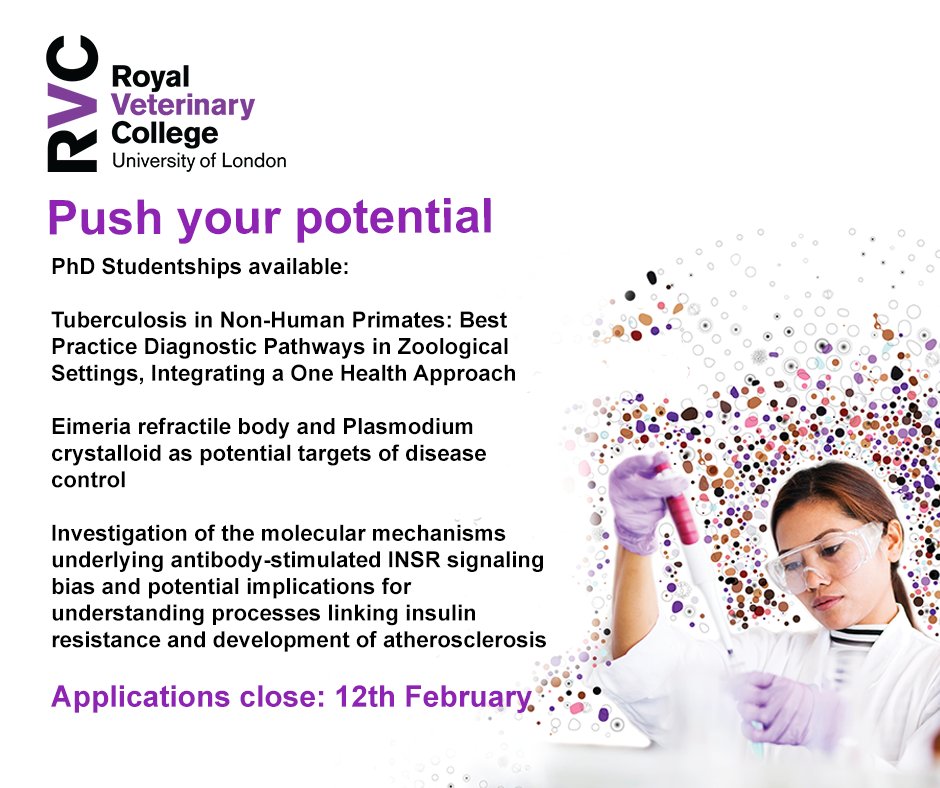 RoyalVetCollege's tweet photo. 📢 New PhD studentships available.

RVC PhD students learn from experts who produce cutting-edge research and are published in top academic journals.

💰 Fully-funded for UK 'Home' students.

Applications open now! 

➡️ https://t.co/CxdfrIdVJS https://t.co/0JlcSUV9GO