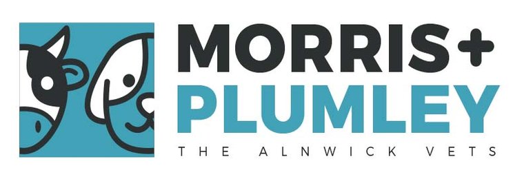 Morris &amp; Plumley to sponsor Saturday 18th January match against Sandal RUFC #Pitchero
pitchero.com/clubs/alnwick/…