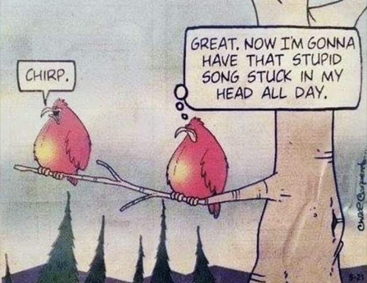 I tried to annoy my 12yo today at the breakfast table by singing him Baby Shark, but have only succeeded in lodging it in my own head 😅
#earworm #music #sillysongs #parenting