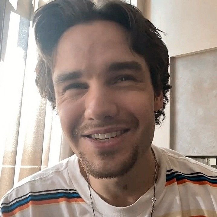 best of liam payne tweet media