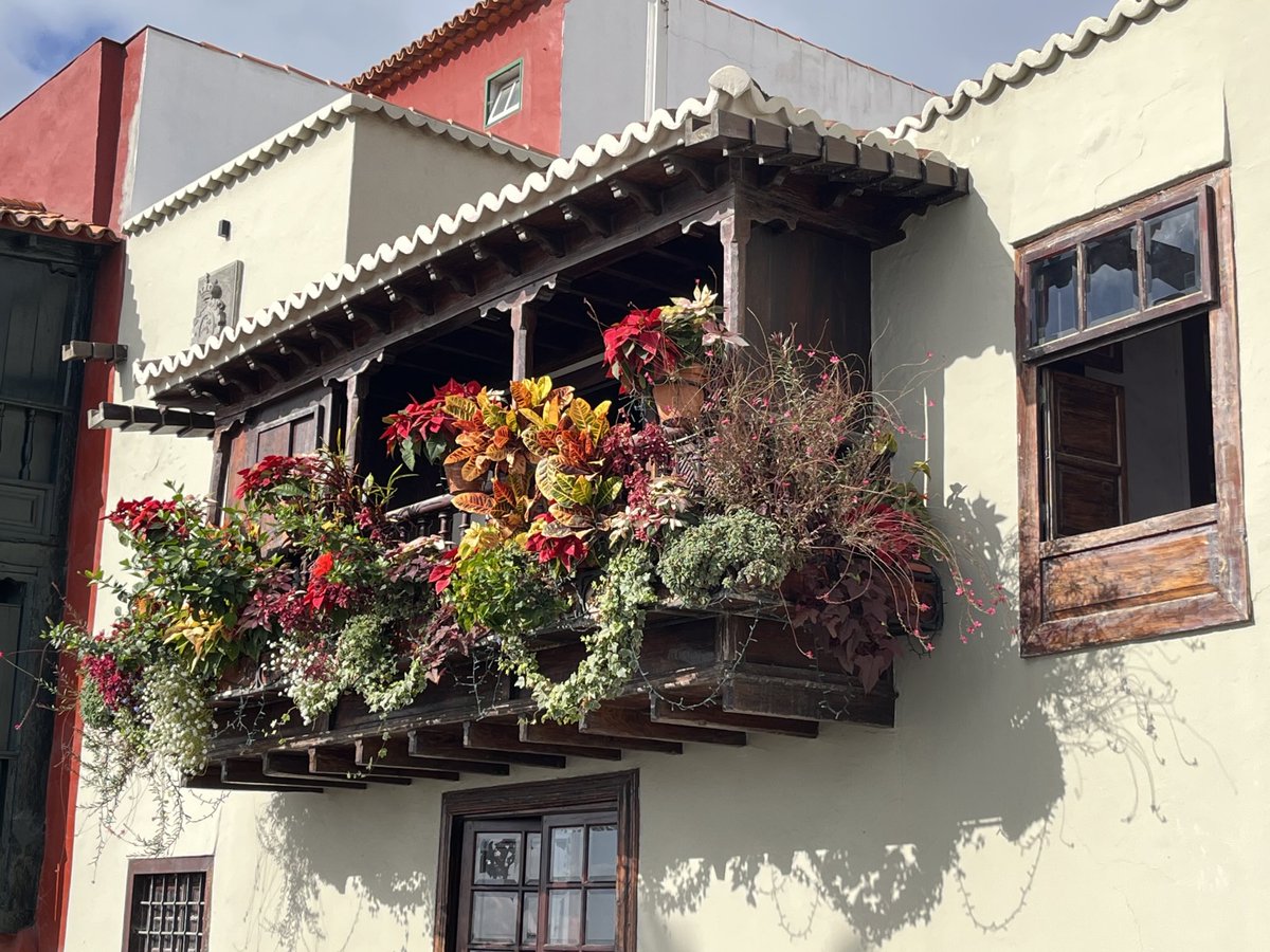 feierleiter's tweet photo. La Palma 🇪🇸 https://t.co/f6SIgobb1e
