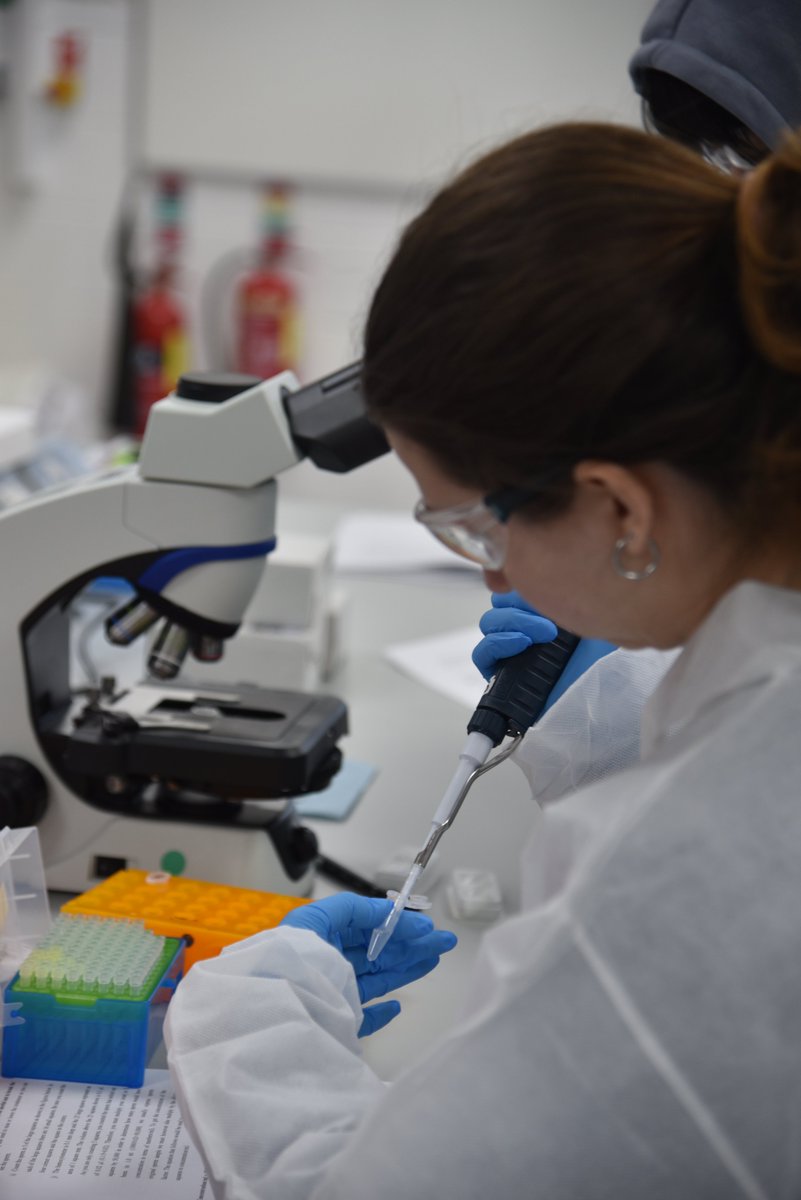 BullnetDN's tweet image. Lets get practical!! Our doctoral network really got involved with the practical elements of our first Training week, understanding semen analysis as well as handling the bovine female reproductive tract!  #Training #livestock #doctoralnetwork 🔬🔎
