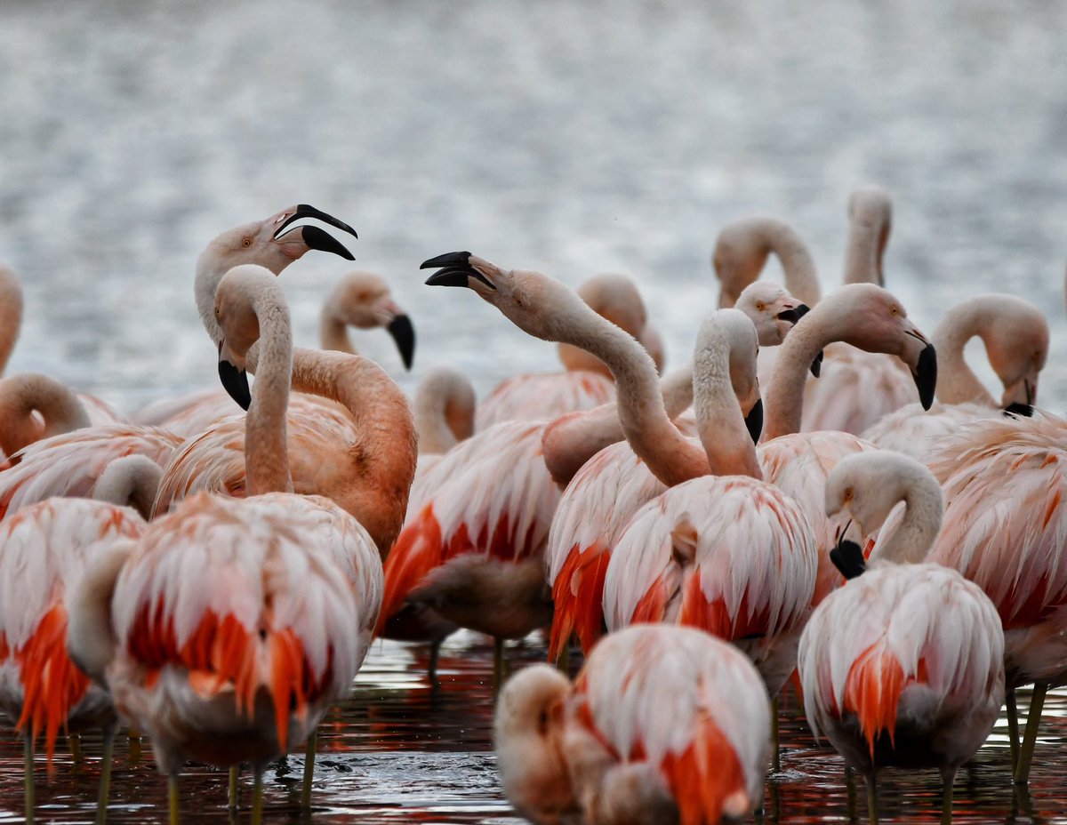 Les comparto estas lindas fotos de nuestra ciudad.
Qué tengan buen fin de semana!