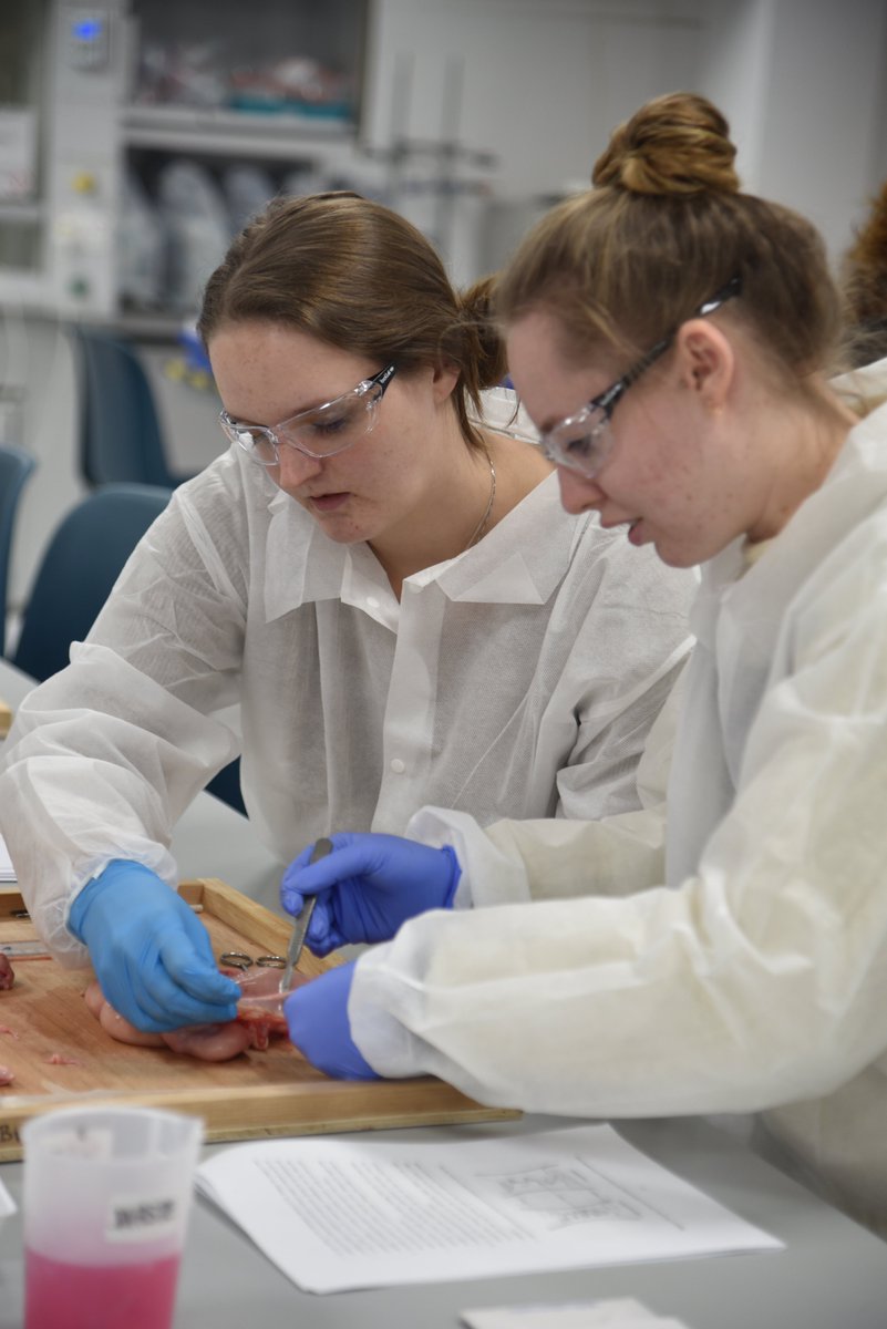 BullnetDN's tweet image. Lets get practical!! Our doctoral network really got involved with the practical elements of our first Training week, understanding semen analysis as well as handling the bovine female reproductive tract!  #Training #livestock #doctoralnetwork 🔬🔎